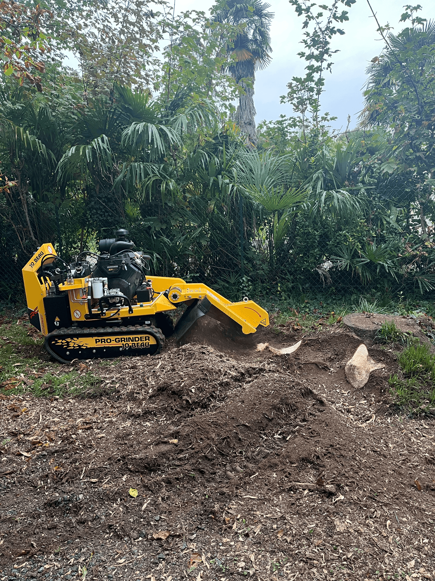 Rogneuse de souche Modul'Arbre