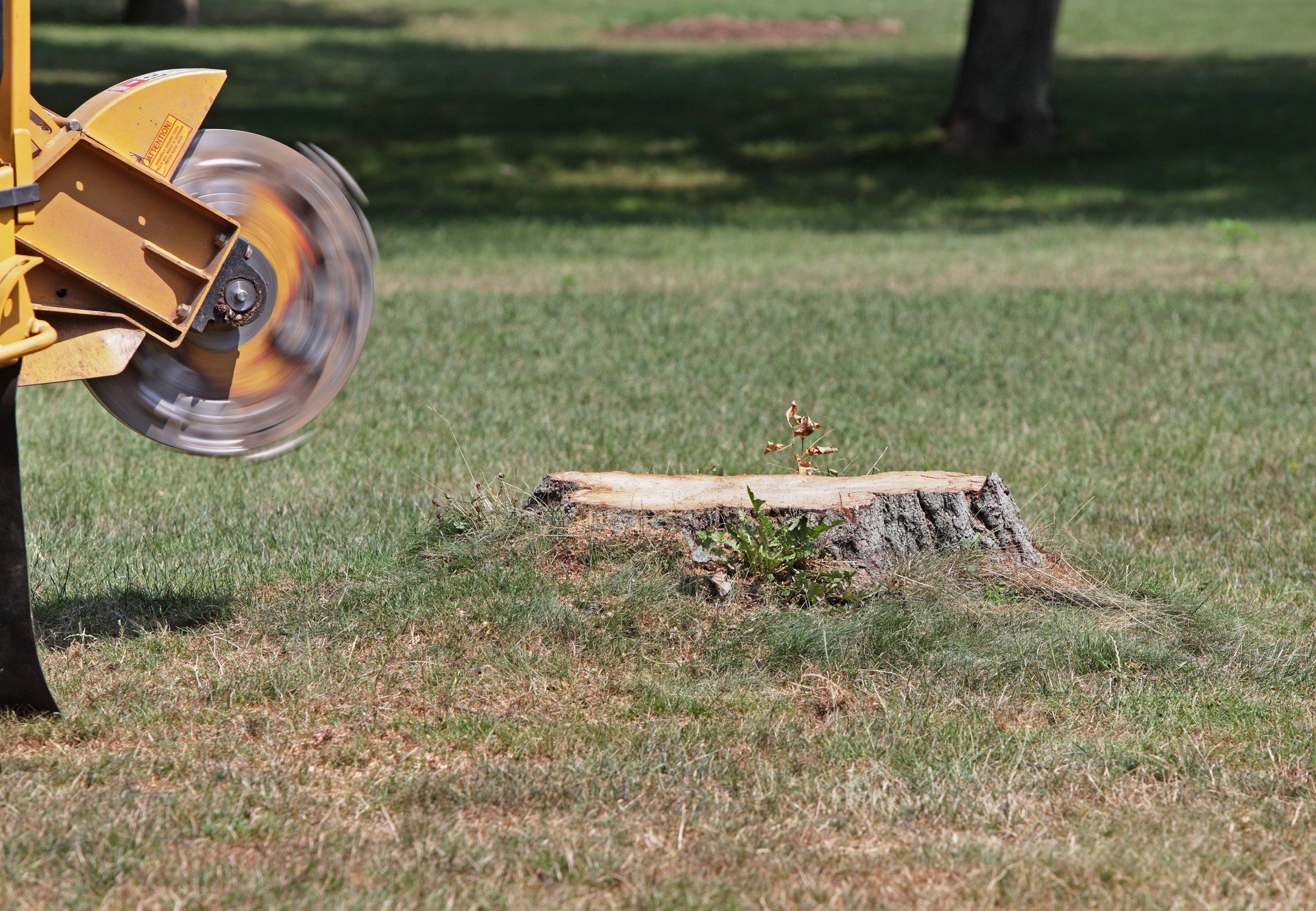 Spinning Tree Stump Cutter